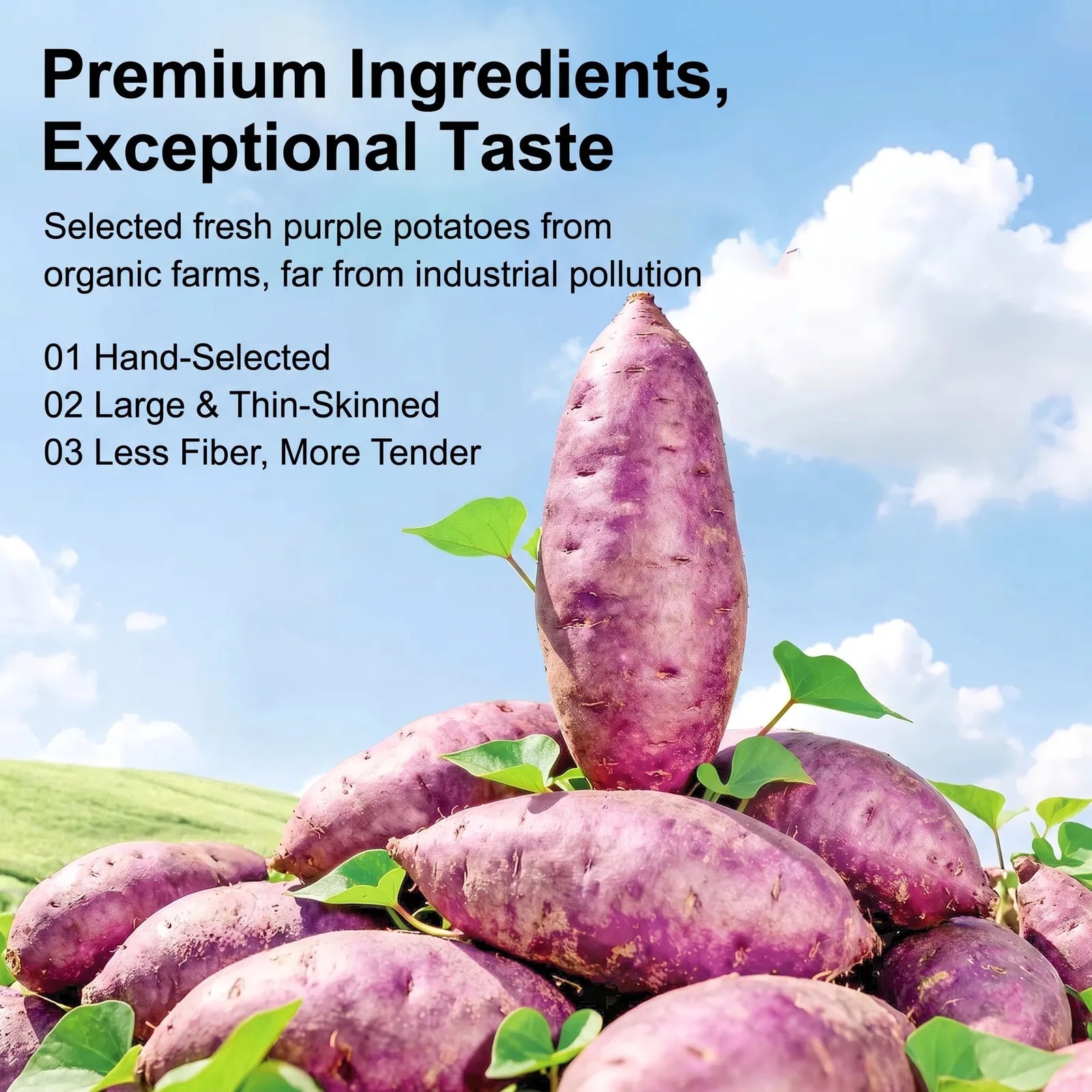 Soft Chewy Purple Sweet Potato Snacks – 500 g