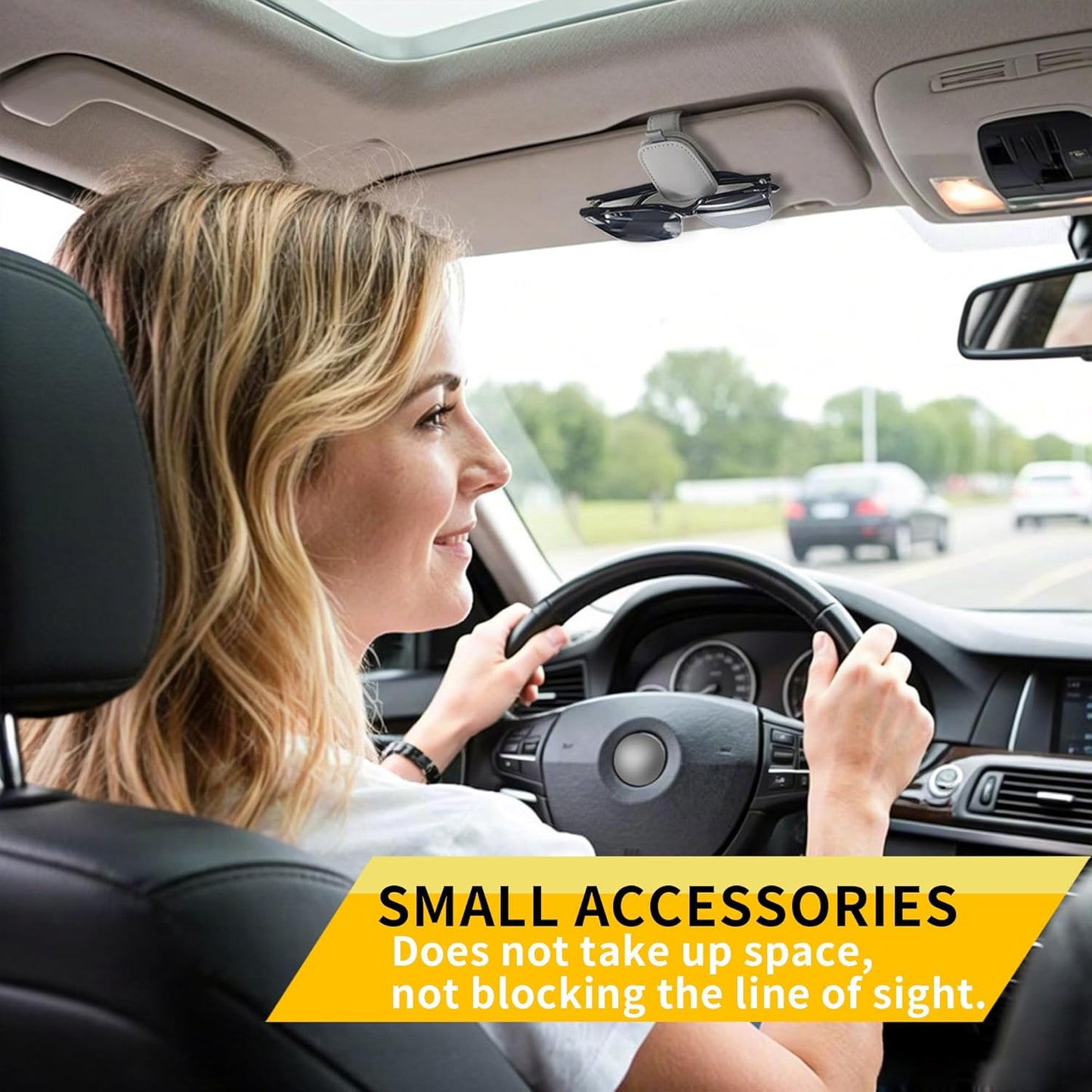 Chiccorsa 2026 Sunglass Holder for Car-2Pcs