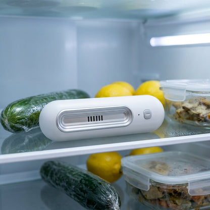 Fridge Deodorizer Odor Eliminator