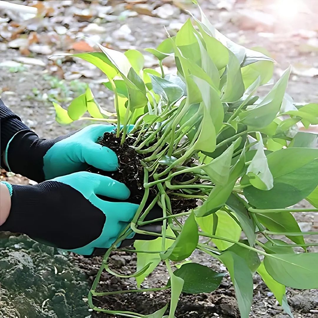 Gardening Gloves-3 Pairs