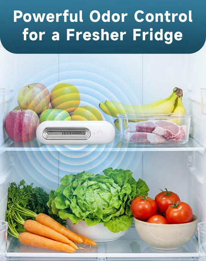 Fridge Deodorizer Odor Eliminator