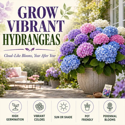 Mixed-Color Hydrangea Seeds – 500-Seed Garden Pack