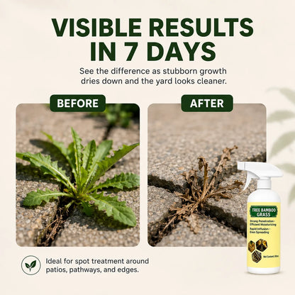 Fast-Acting Weed and Grass Control Spray – 300 ml