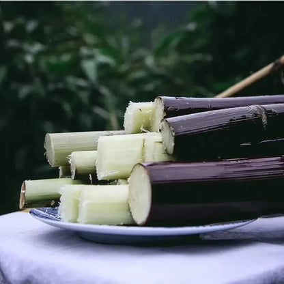 Black Sugarcane Seeds – 500-Seed Pack – product image 4